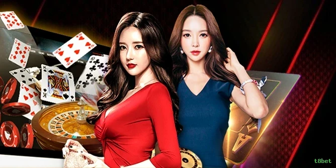 Performance t8bet